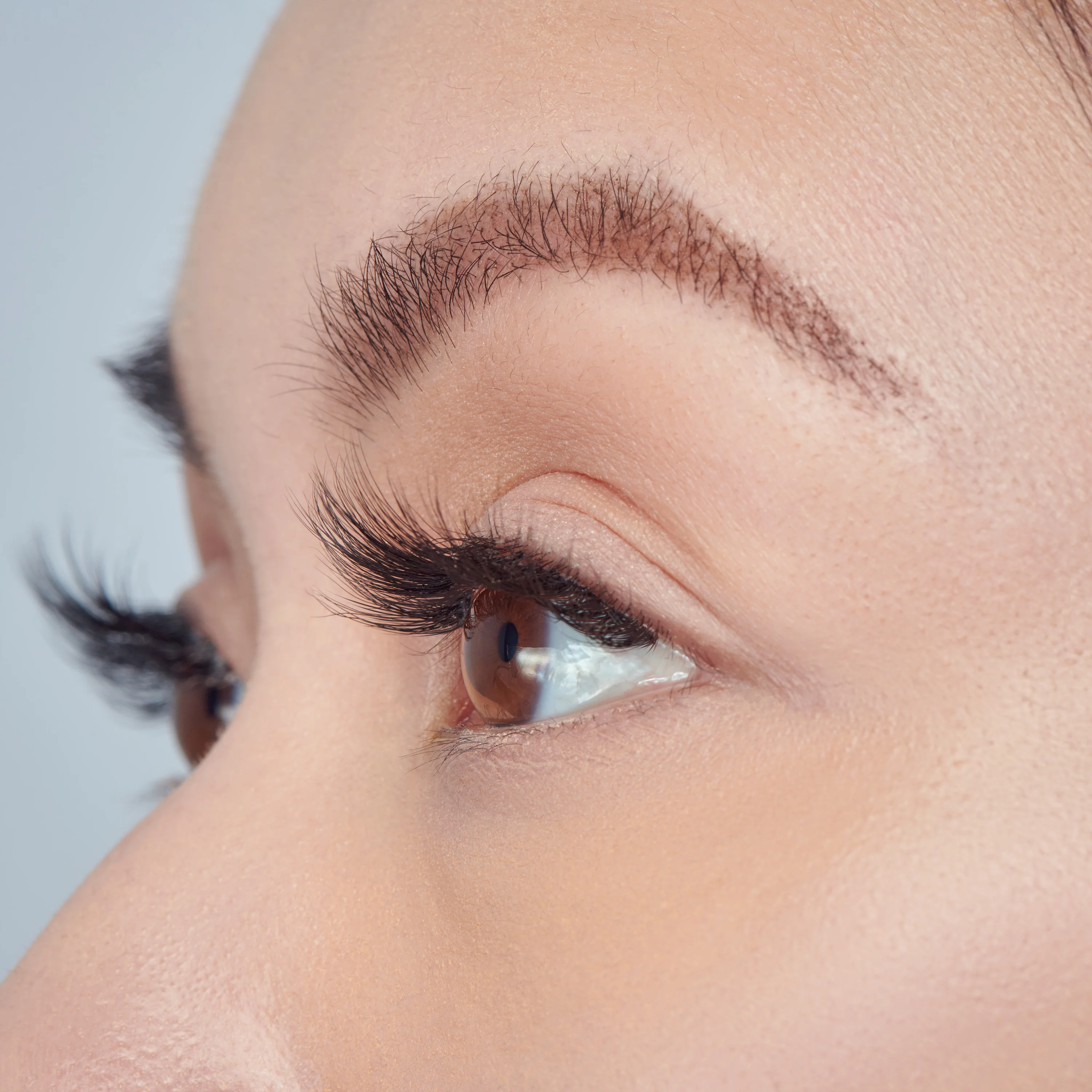Falscara Faux Mink Volume Multipack | DIY False Lash Extensions, Full Glam, Cluster Lash, Wispy Lashes, 3D Lash Extension Effect, 24 Wisps, 12mm-16mm - Image 3