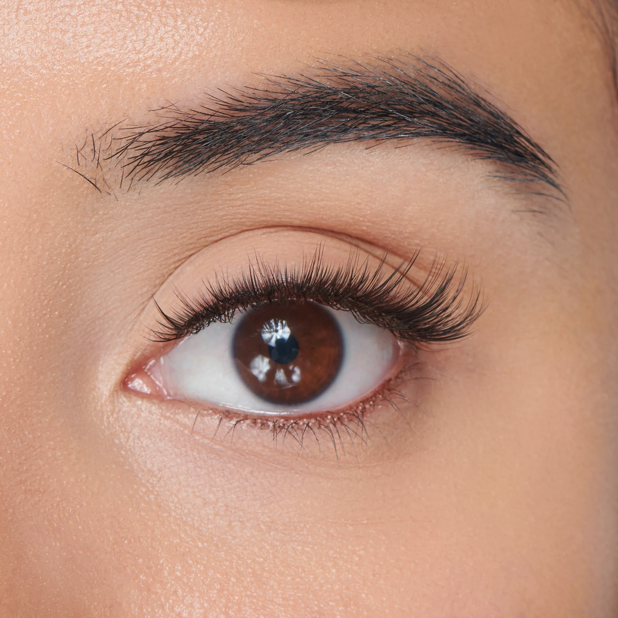 Falscara Faux Mink Wispy Mega Multipack | DIY False Lash Extensions, Cluster Lash, Wispy Lashes, 50 Wisps, 10mm-16mm - Image 3
