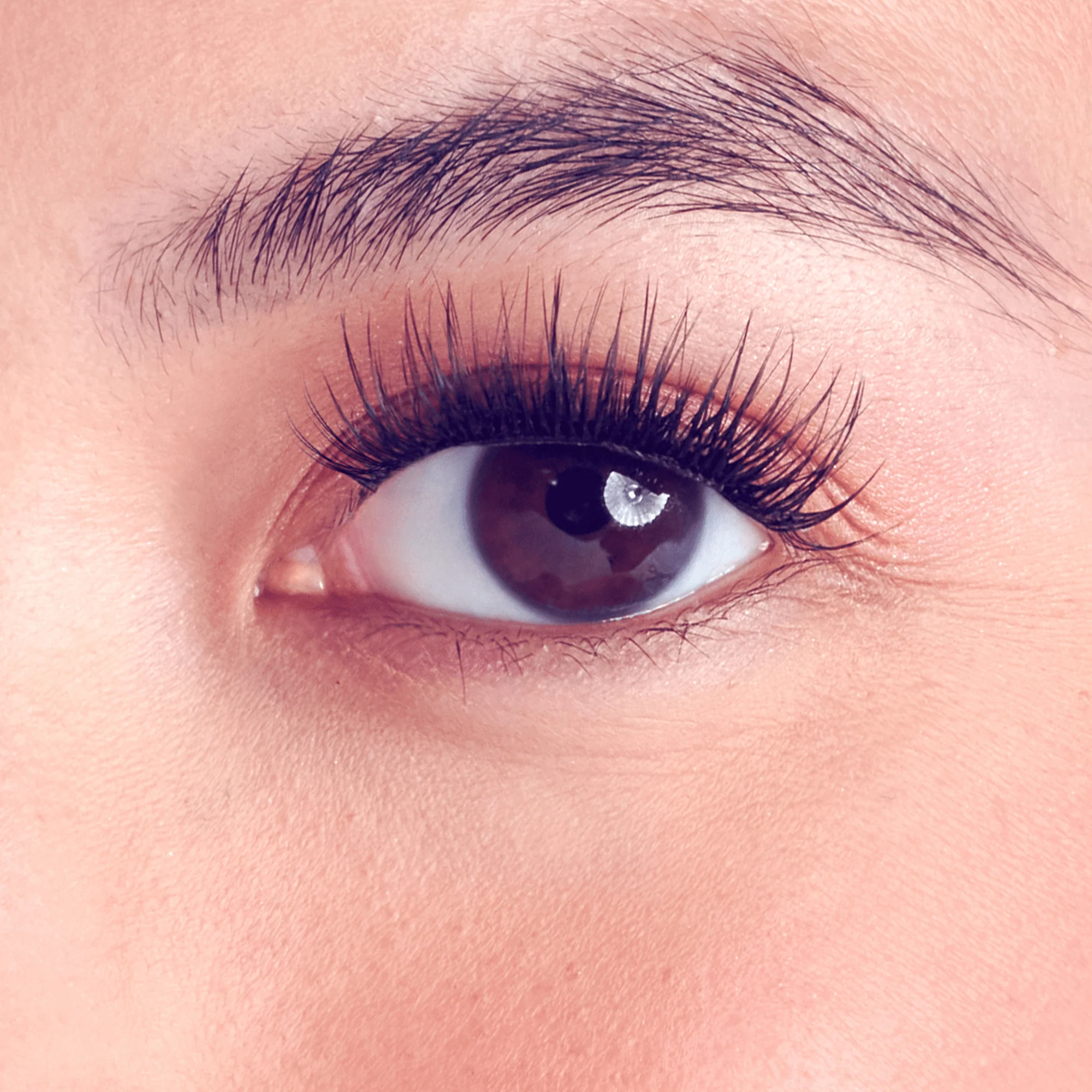 Falscara Classic Natural Special All Inclusive Ultimate Kit -Lengthening | DIY False Lash Extensions, Cluster Lash, Wispy Lashes, 36 Wisps, 10mm-14mm - Image 4