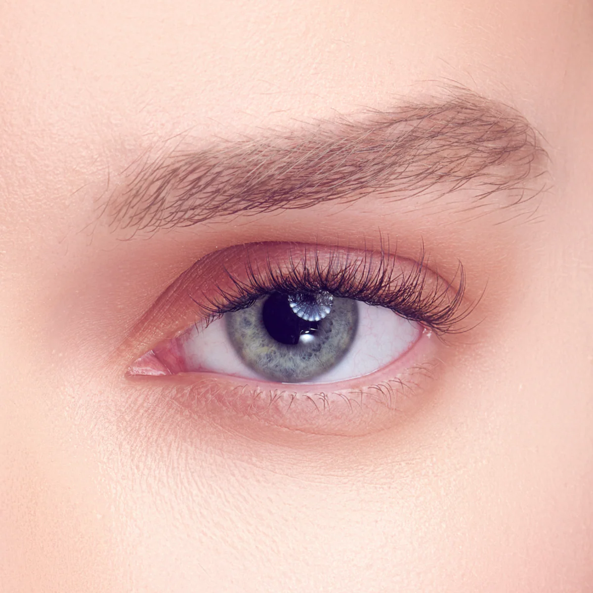 Falscara Studio Lash Extension Kit - Petite Dainty Wispy | DIY False Lash Extensions, Light Glam, Cluster Lash, Wispy Lashes, 54 Wisps, 8mm-12mm - Image 3