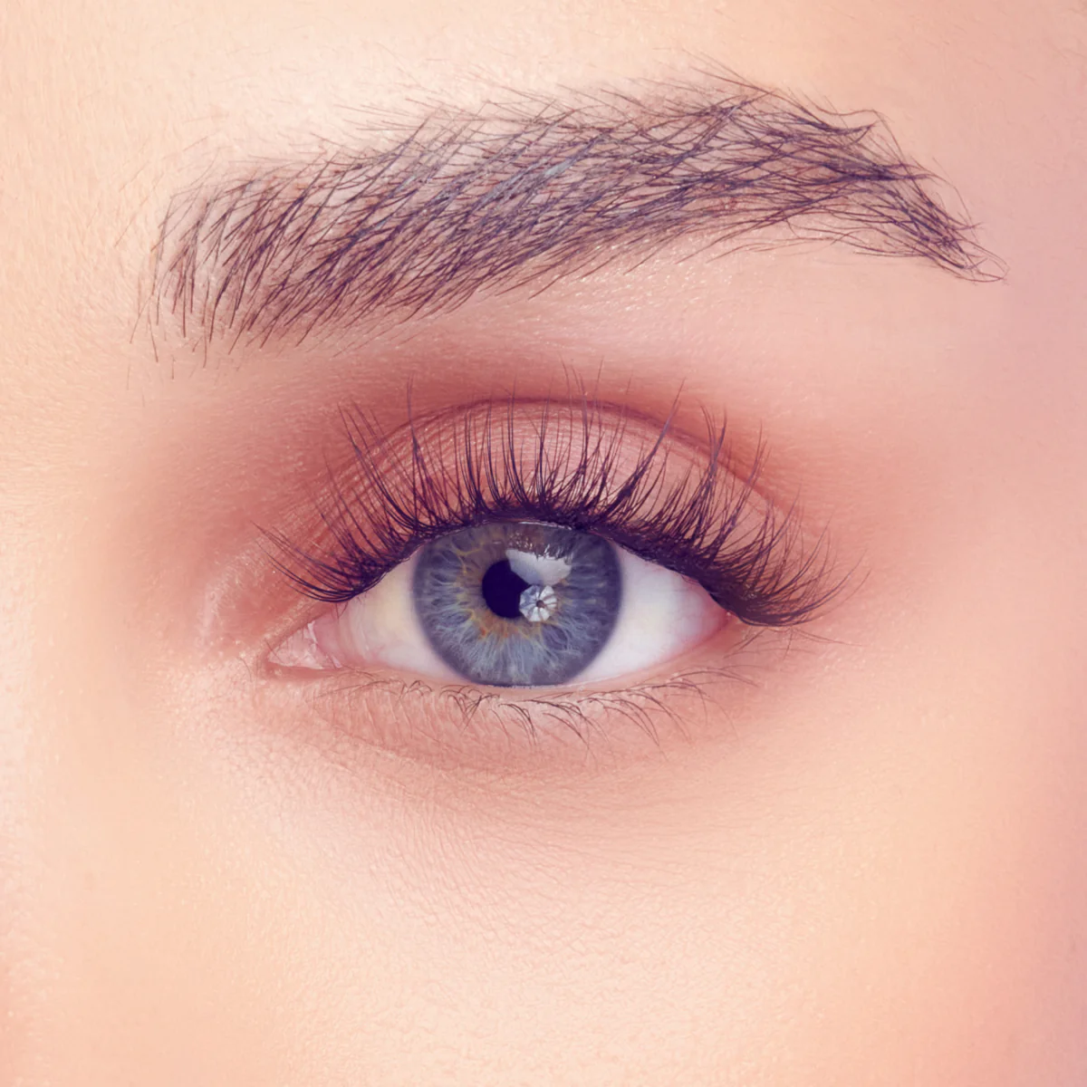 Falscara Studio Lash Palette - Delicate Fluffy | DIY False Lash Extensions, Natural, Cluster Lash, Wispy Lashes, 18 Wisps, 8mm-12mm - Image 3
