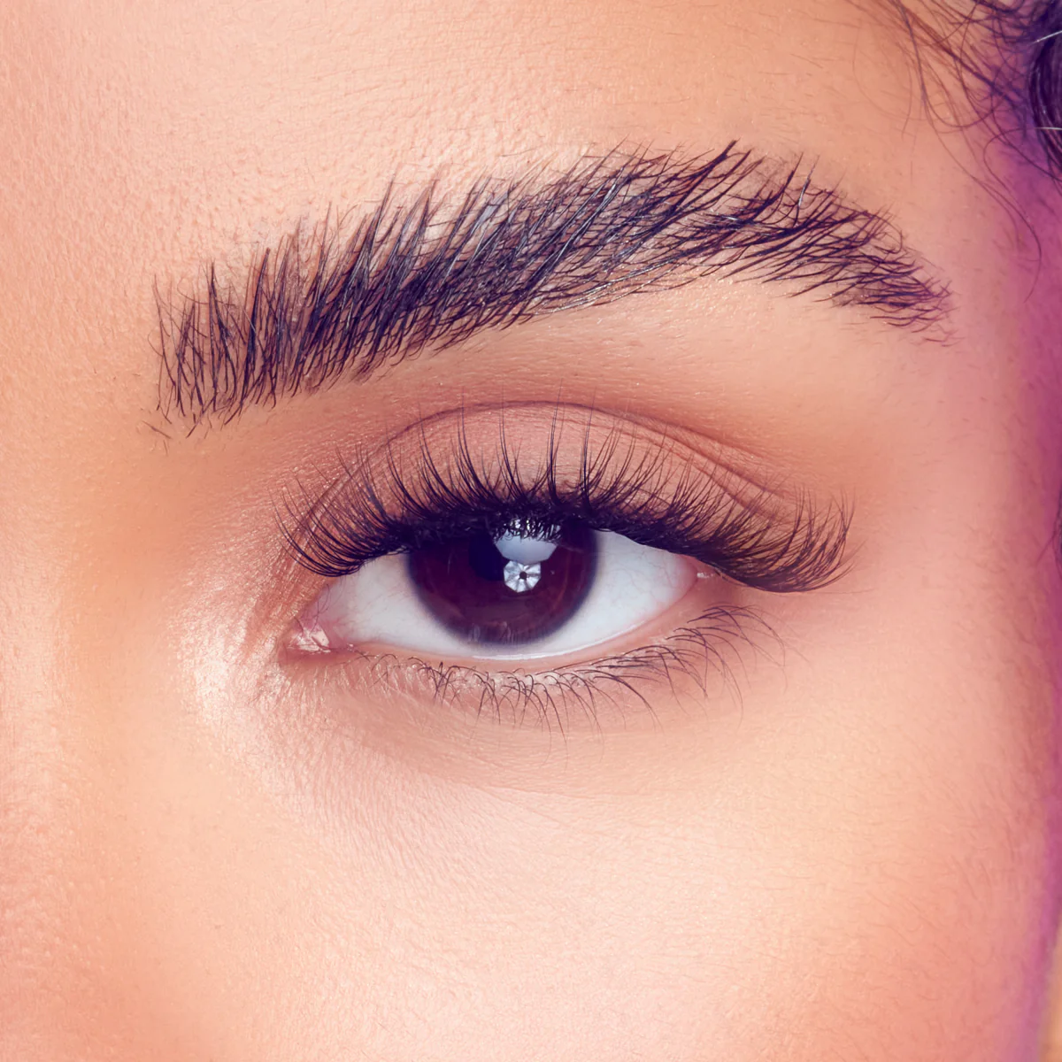 Falscara Studio Lash Palette - Xtra Fluffy Volume | DIY False Lash Extensions, Full Glam, Cluster Lash, Wispy Lashes, 18 Wisps, 10mm-14mm - Image 3