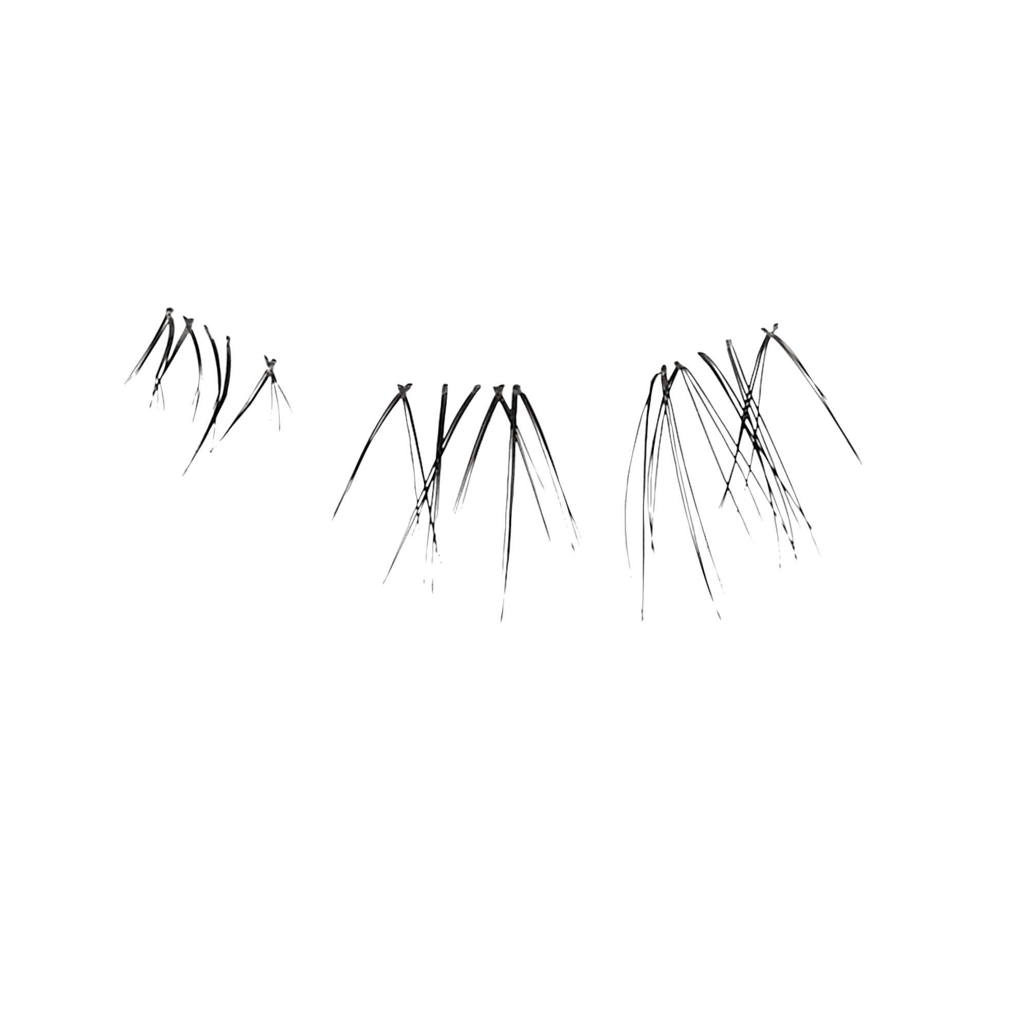 Falscara Wisps Multipack - Bottom Lash Natural Clusters | DIY False Lash Extensions, Light Glam, Cluster Lash, Wispy Lashes, 24 Wisps, 10mm-14mm - Image 5