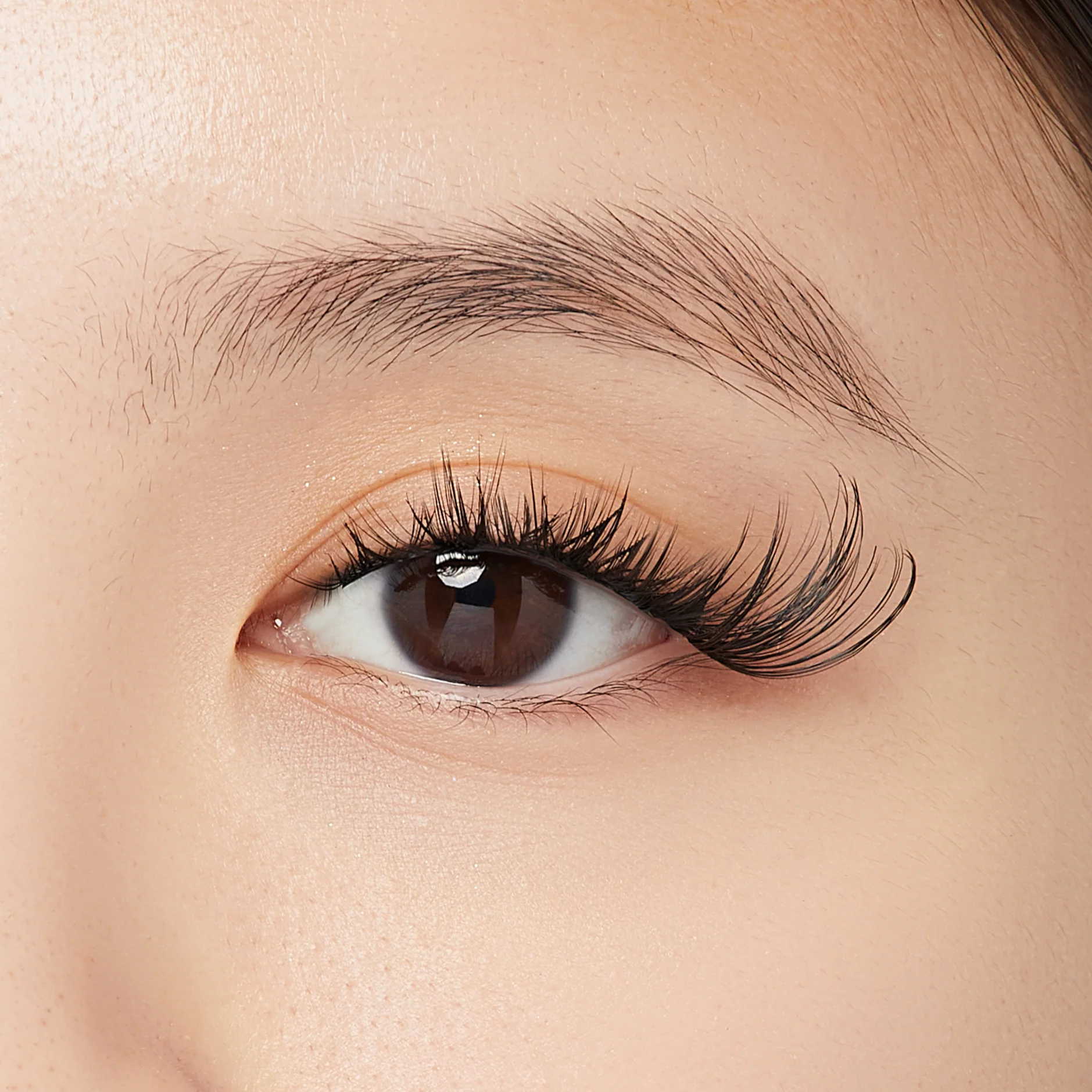 Falscara Natural Multipack - Cat Eye | DIY False Lash Extensions, Natural, Cluster Lash, Wispy Lashes, 20 Wisps, 18mm-20mm - Image 4